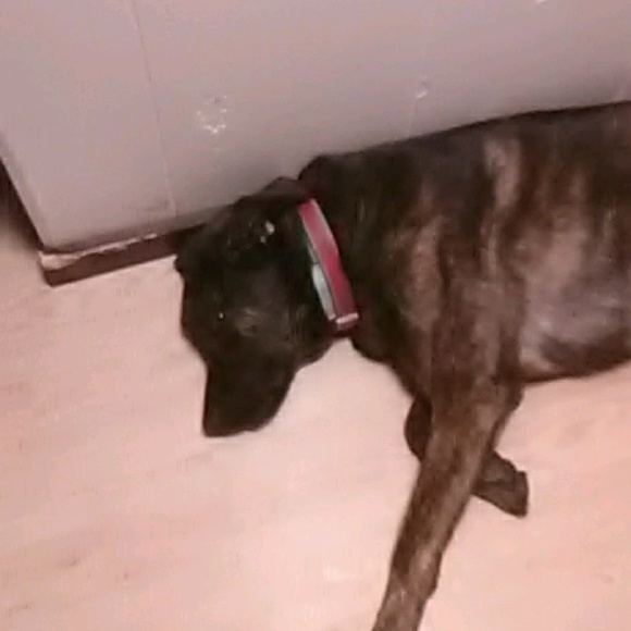 Meet your Posher, Marilyn - Picture 1 of 1